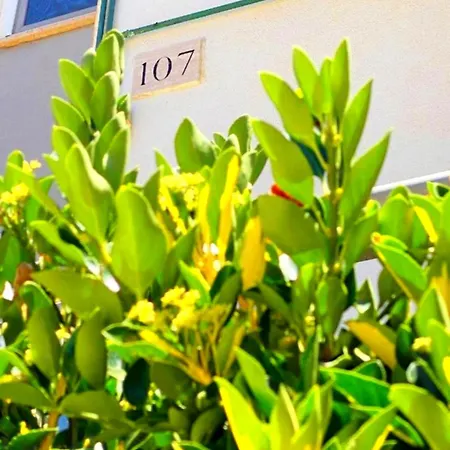 Appartement 107 - Roma Fiumicino